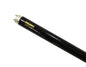 TU T836-UV-BK
