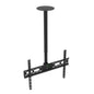 32x80in Ceiling Mounted TV Bracket