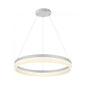 Modern Large Single Pendant Light