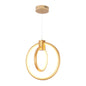 Golden LED Pendant Light – 30W, Dual Ring Design (WH 2501-GO-TC)