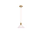 Vintage Brass Pendant Light 1*E27
