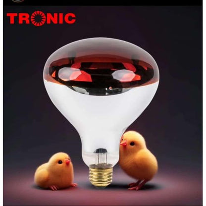 250W Infrared Bulb - E27-Screw (SP 1250)