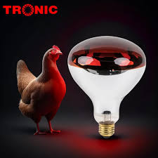 250W Infrared Bulb - E27-Screw (SP 1250)