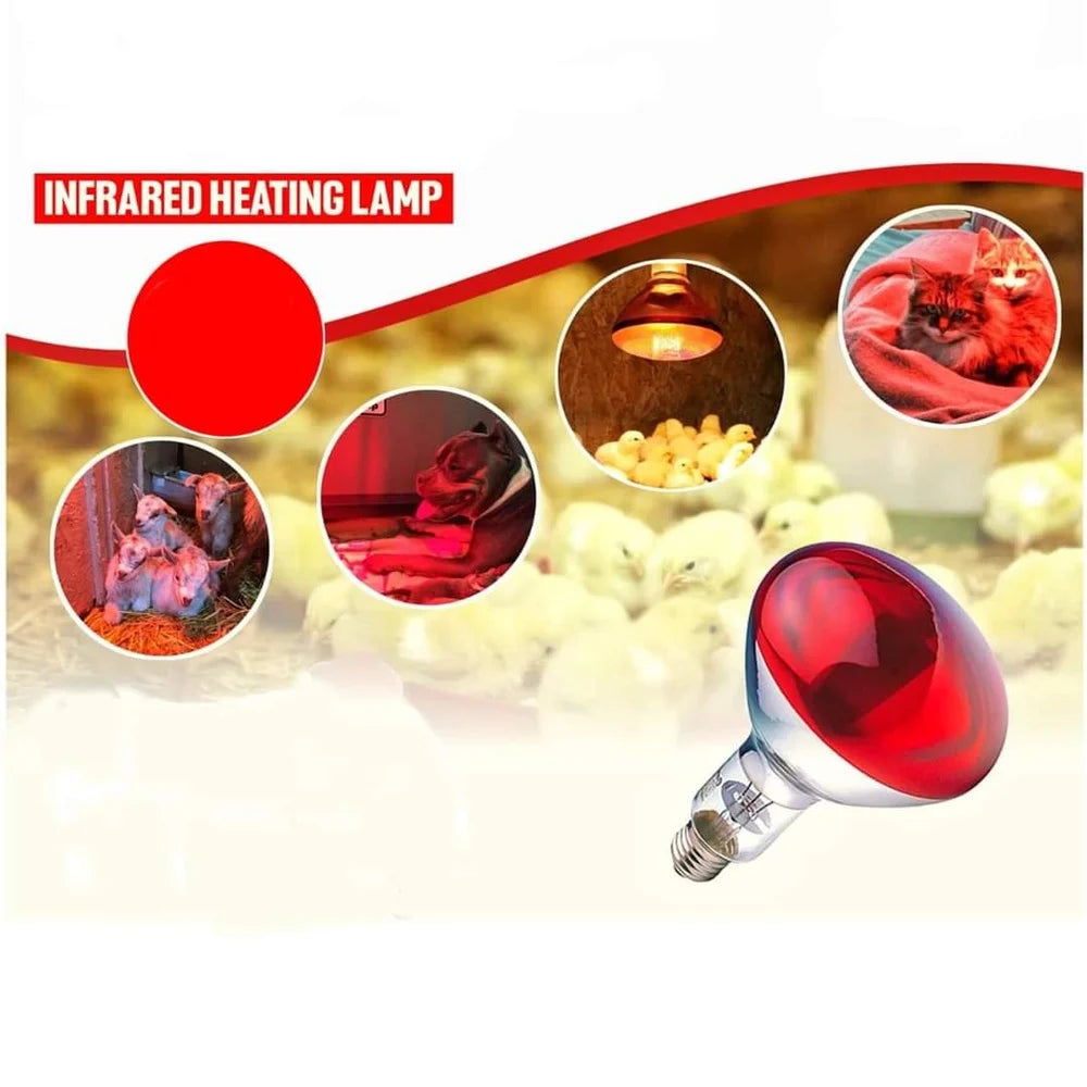 250W Infrared Bulb - E27-Screw (SP 1250)